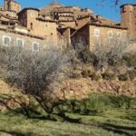 Ourika Valley and Berber Village Tour - Who Is This Tour Best For?