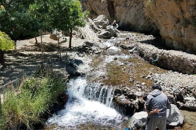 Ourika Valley : Atlas Mountains Day Trip from Marrakech - The Natural Beauty and Cultural Charm
