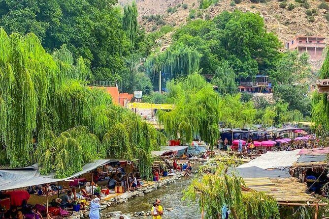 Ourika Valley Day Tour from Marrakech - The Experience You’ll Love