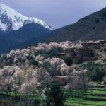 Ourika valley day trip - Transport and Comfort