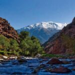 Ourika valley day trip - Final Thoughts