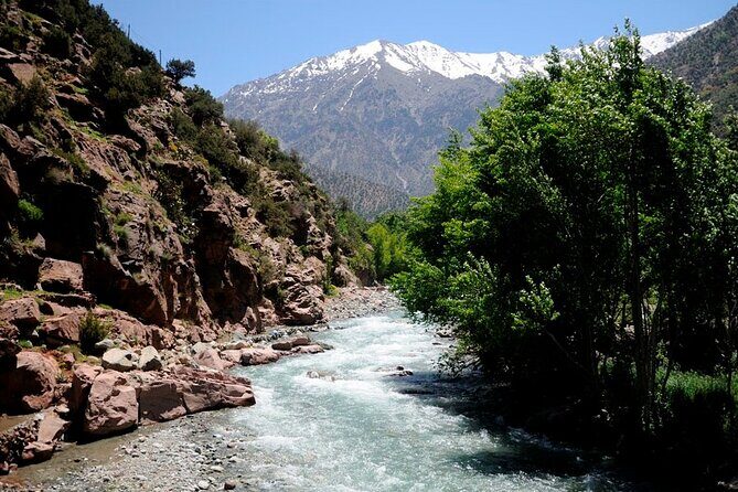 Ourika Valley Day Trip From Marrakech - Authentic Experiences and Honest Feedback