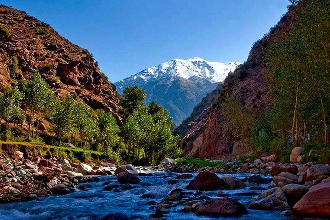 Ourika Valley Day Trip From Marrakech - Pricing and Value