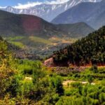 Ourika valley day trip from Marrakech - Price and Value