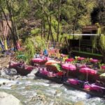 Ourika Valley Day Trip From Marrakech - An In-Depth Look at the Ourika Valley Day Trip