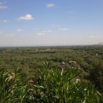 Ourika Valley Day trip Marrakech Morocco - The Charm of Ourika Village