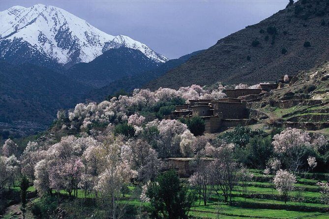 Ourika valley day trip - Transport and Comfort