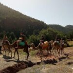 Ourika Valley Full Day Trip from Marrakech - In-Depth Look at the Itinerary