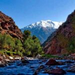 Ourika Valley Guided Day Trip from Marrakech - Transportation and Group Dynamics