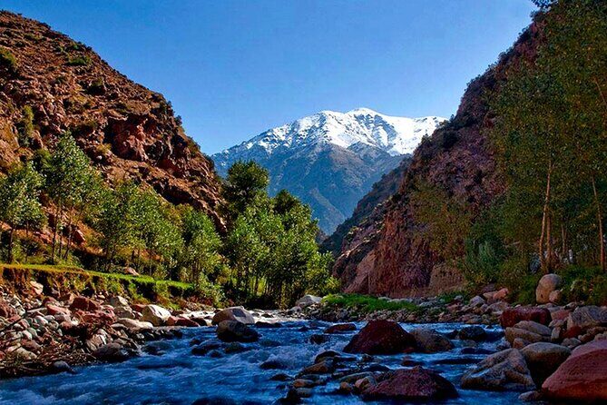 Ourika Valley Guided Day Trip from Marrakech - Transportation and Group Dynamics
