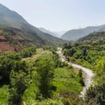 Ourika Valley Waterfalls - Vallée Ourika Day Trip - Value and Cost Analysis