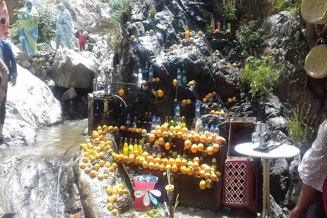 Ourika Valleys & Berber Villages and WATERFALLS Excursion - What to Expect in Terms of Value and Experience