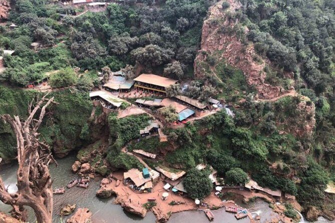 Ouzoud Falls Day Trip from Marrakech - What the Reviews Say