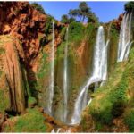Ouzoud Waterfalls Full-Day Tour from Marrakech - What’s Included and What’s Not