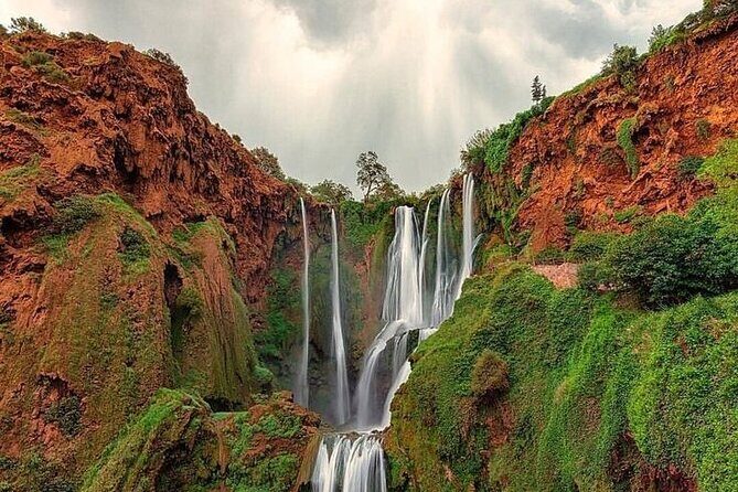 Ouzoud Waterfull - Day Trip from Marrakech - Transport and Group Dynamics