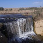 over day safari trip to whales valley fayoum oasis - What Reviewers Say