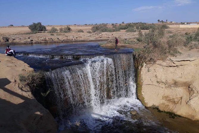 over day safari trip to whales valley fayoum oasis - What Reviewers Say