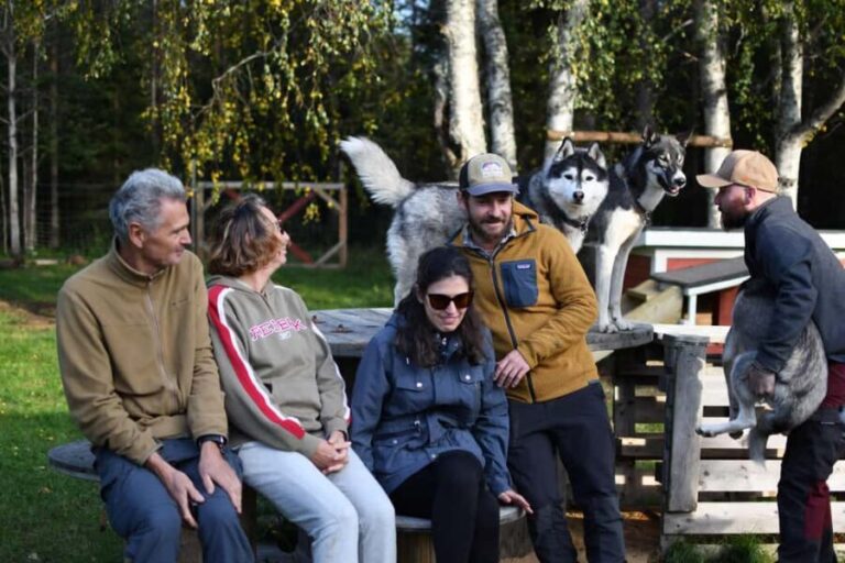 Överkalix - Lapland : Husky Cuddle and Fika Experience - What to Expect from the Husky Cuddle and Fika Experience