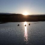 Överkalix - Lapland : Midnight Sun Kayaking Tour with Dinner - A Closer Look at the Day: The Itinerary and What to Expect