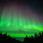 Överkalix - Lapland : Snowmobile Tour with Northern Lights - The Value of This Experience