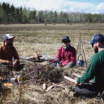 Överkalix - Lapland : Summer Hike and Midnight Sun Dinner - Wildlife Spotting Opportunities