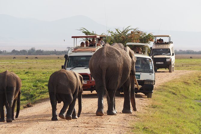 Overnight Amboseli National Park Safari - Who Will Love This Experience?