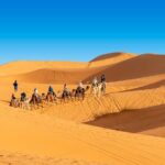 Overnight Camel trek in Merzouga dunes - Travel Logistics and Group Size