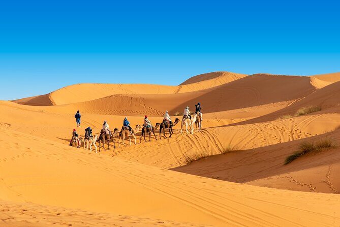 Overnight Camel trek in Merzouga dunes - Travel Logistics and Group Size