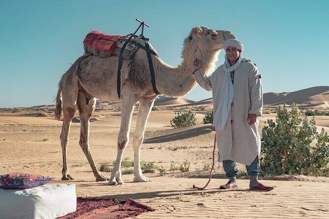 Overnight Camel trekking in Merzouga - Real Traveler Insights from Reviews
