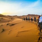 Overnight Camel Trekking Merzouga Desert - Practical Tips for a Smooth Experience