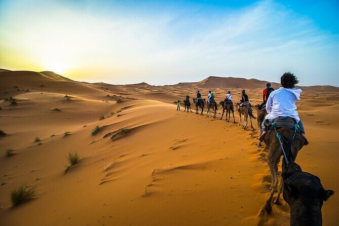 Overnight Camel Trekking Merzouga Desert - Practical Tips for a Smooth Experience