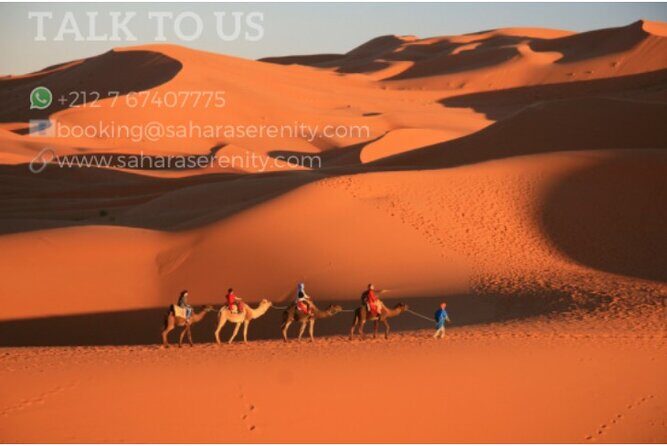 Overnight Camping in Merzouga Desert - What Sets This Tour Apart