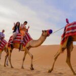 Overnight Desert Experience with safari and BBQ Dinner - What We Think About the Value