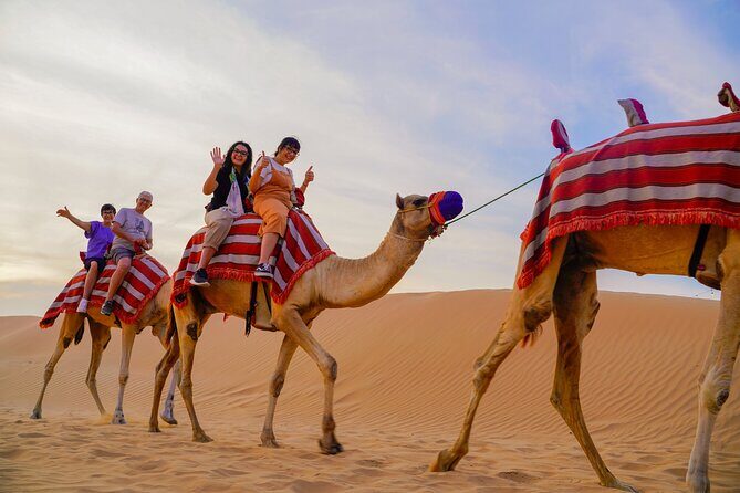 Overnight Desert Experience with safari and BBQ Dinner - What We Think About the Value