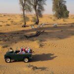 Overnight Desert Safari - Vintage Land Rovers & Traditional Activities - Authentic Bedouin-Style Camp & Cultural Activities