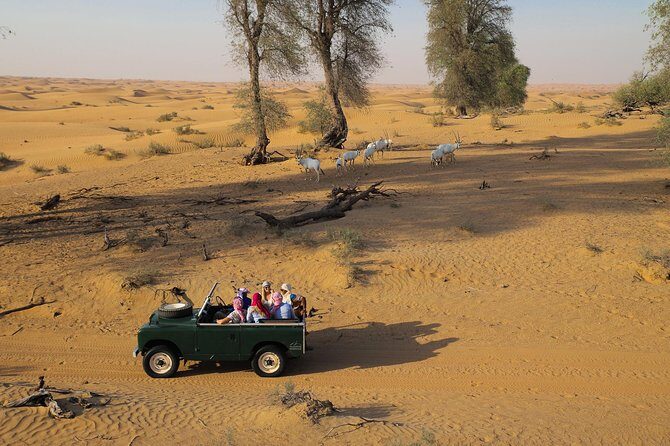 Overnight Desert Safari - Vintage Land Rovers & Traditional Activities - Authentic Bedouin-Style Camp & Cultural Activities