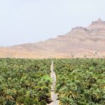 Overnight Desert Tour from Marrakech to Zagora - Pricing and Value