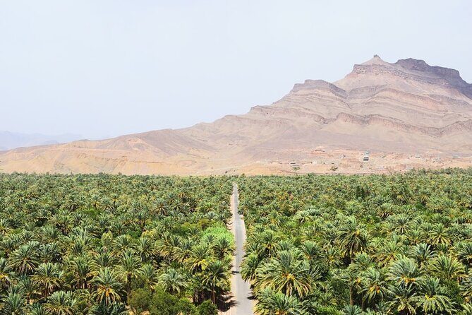Overnight Desert Tour from Marrakech to Zagora - Pricing and Value