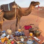 Overnight Desert Trips From Fez to Fez - Overview of the Experience