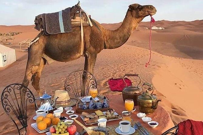 Overnight Desert Trips From Fez to Fez - Overview of the Experience
