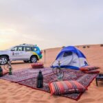 Overnight Dubai Desert Safari in igloo tent with Private 4WD - Who Would Love This Tour?