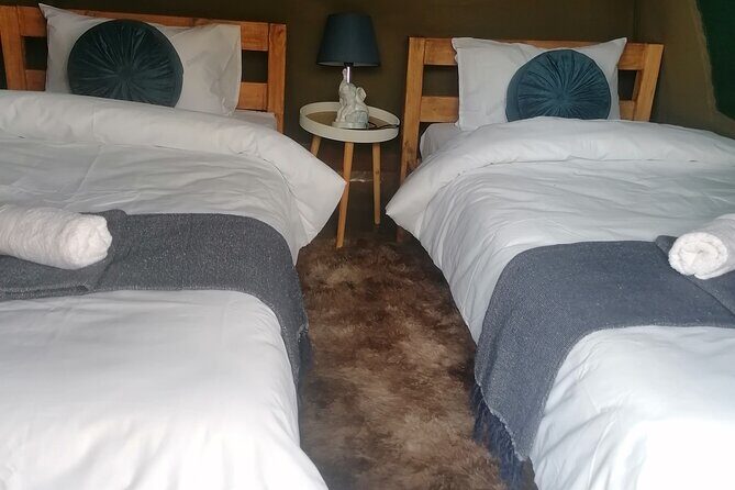 Overnight Kruger National Park Classic Camping Safari - What Reviewers Say: Highlights and Challenges