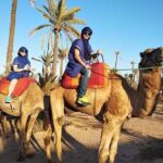 Overnight Luxury Desert Trip Form Fez To Fez - Practical Details: Transport, Timing, and Cost