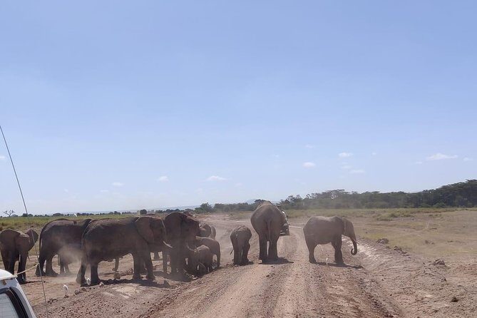 Overnight Safari to Amboseli National Park - Who Is This Tour Best For?