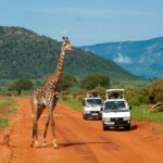 Overnight Safari to Tsavo East National Park from Mombasa/Diani - The Itinerary in Detail