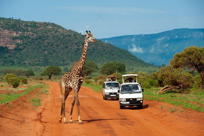 Overnight Safari to Tsavo East National Park from Mombasa/Diani - The Itinerary in Detail