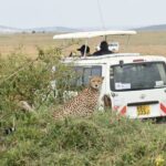 Overnight Safari to Tsavo East with Pick Up From Mombasa - Practical Details and Value