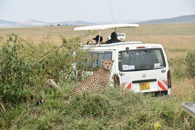Overnight Safari to Tsavo East with Pick Up From Mombasa - Practical Details and Value