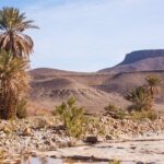 Overnight Sahara Tour from Marrakech to Mhamid - The Travel and Timing: Long Hours, Rich Rewards