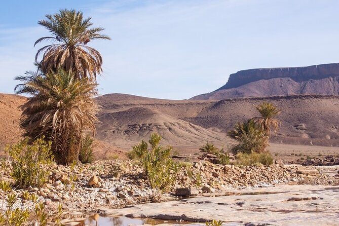Overnight Sahara Tour from Marrakech to Mhamid - The Travel and Timing: Long Hours, Rich Rewards